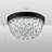 Castor Crystal LED Flush Mount-85520025