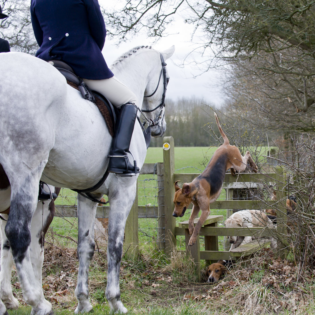 Country Pursuits von Dageldog - Druck auf Leinwand ohne Rahmen