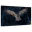 Hibou gris volant-107703727