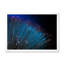 Détail de la fibre optique bleue - impression sur toile avec cadre flottant-464895775-464895772