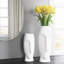 Ensemble de 2 vases en céramique Allysan