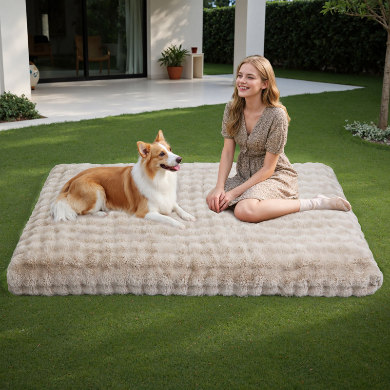 Dog Bed, 18cm H x 200cm W x 130cm D, Beige