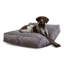 Lit pour chien avec coussin de soutien-794393528-794393525