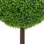 Faux Boxwood Plant in Pot-1548992526