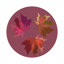 Ensemble de table Feuilles d'automne mauve
