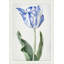 Spring Tulip 1' Framed Graphic Art Print on Glass