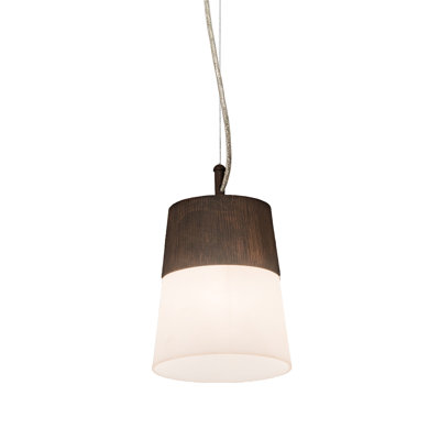 Toomer 1 - Light Single Pendant