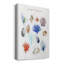 «Ocean Treasures», impression sur toile tendue-1158311961