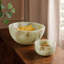 Resin Rice Bowl