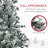 Christmas Trees