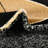 Pioneer Indoor Rug-1616905078