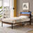 Metal Frame Bed with USB,LED Lights-228357056