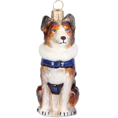 Australian Shepherd in Australia Flag Coat