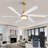 64" Ceiling Fan With LED Lights, Remote Control and Quiet Reversible DC Motor