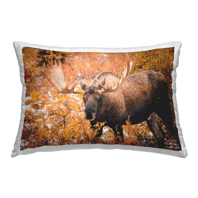Outdoor Throw Pillow