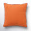 Delijah Square Indoor/Outdoor Pillow Cover & Insert-677283802-677283779