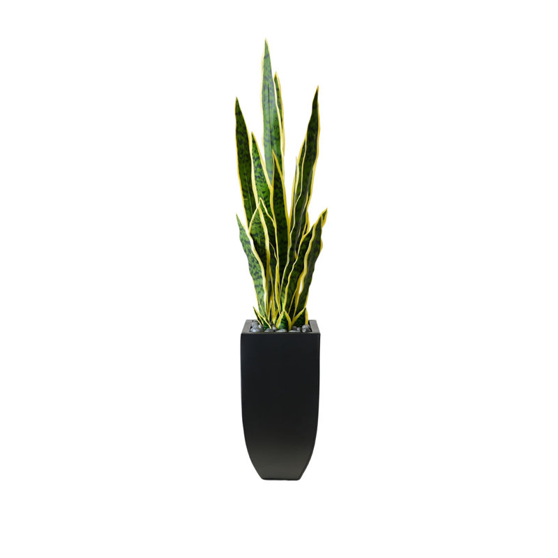 Faux Snake Plant (Sansevieria) Plant in Planter
