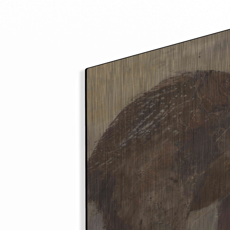 «Backward Glance» par Albena Hristova, H 16 po x l 24 po