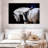 Sireci White Horse And Equestrian-107687574