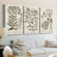 «Sepia Botanical Journal I», toile tendue sur mesure - 3 pièces
