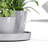 Pot Planter-2068163095