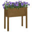 Alasteir Wood Planter Box-1392064338-1392064351