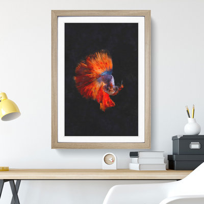 The Siamese Fighting Fish - Framed Print