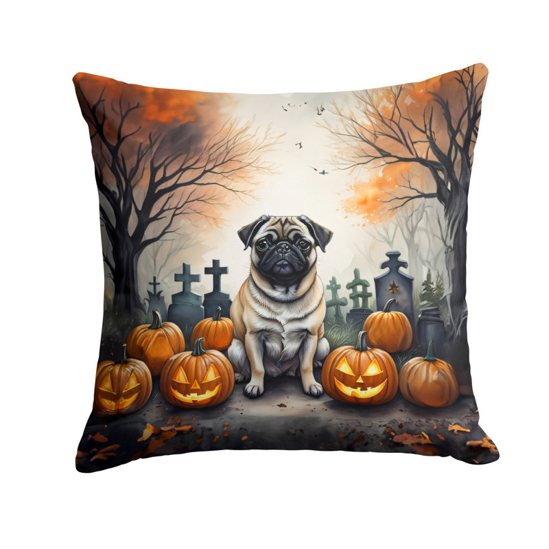 Other/No Pattern Outdoor Throw Pillow, 14" x 14"