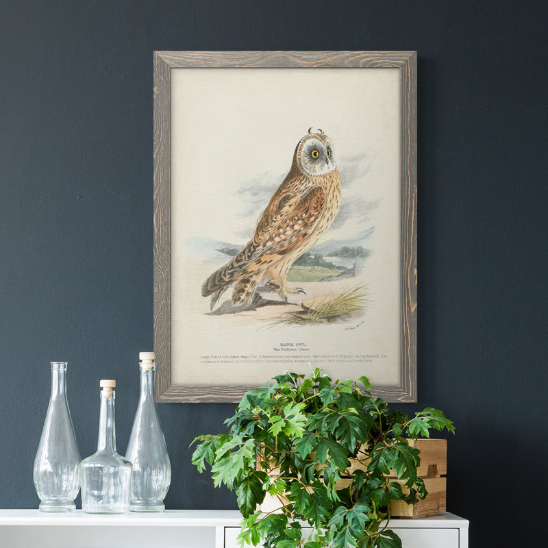" Hawk Owl " Painting Print, 44" H x 31" W x 1" D, Gray