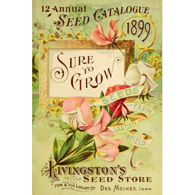 " Antique Seed Packets VIII "