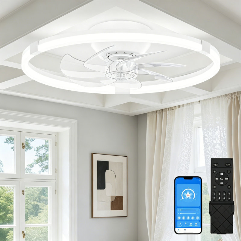 Ceiling Fan