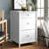 Cailen 20.87'' Wide 3 -Drawer File Cabinet