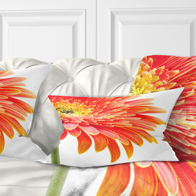 Orange Gerbera on White Background - Floral Printed Throw Pillow