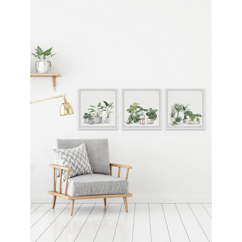 Collection de plantes par Marmont Hill - ensemble de 3 cadres photo, H 12 po x l 12 po x P 1,5 po