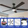Laquaysha 60'' Ceiling Fan with LED Lights