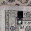 Plamedi Oriental Area Rug in Beige