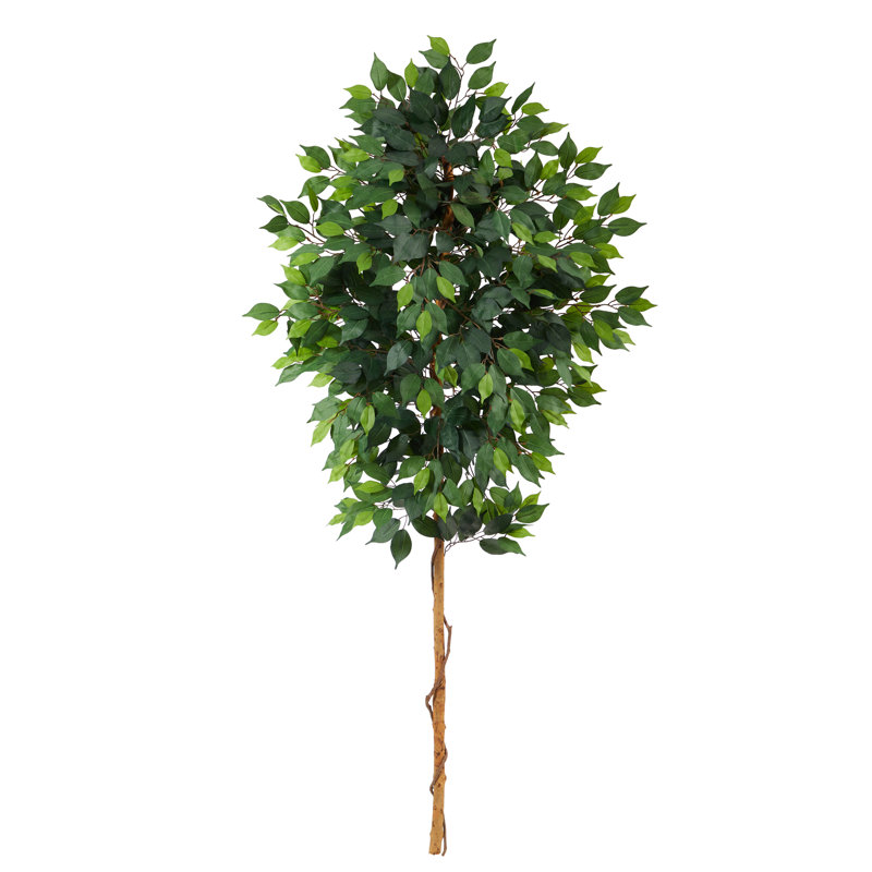 Ficus artificiel 72 "72"