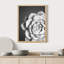 "Succulent cactus noir et blanc en fleurs" sur papier-98266656-98266655