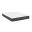 Matelas en mousse à mémoire de forme 8 po Daisy-1532625849