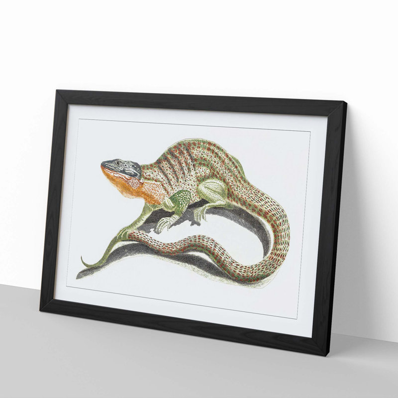 Lizard by Johan Teyler - Framed Print, 36cm H x 48cm W x 2cm D, Black Framed