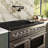ZLINE 48 in. Paramount Dual Fuel Range with 8 Burner DuoPro Cooktop & Dual Ovens in Stainless Steel-116209175-116209176