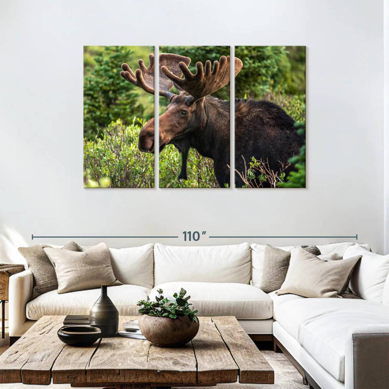 Brampt Wild Bull Moose, 48" H x 74" W