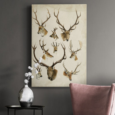 " Western Animal Species II "