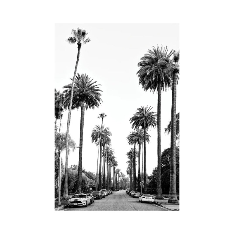 «Black California Series - Los Angeles Palm Alley» par Philippe Hugonnard - reproduction de photo sur toile tendue