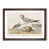 Walnut Framed selected