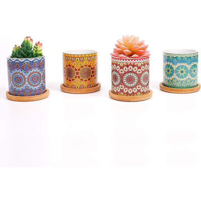 Ensemble de 4 pots à fleurs succulents en céramique de 3 po avec plateaux en bambou