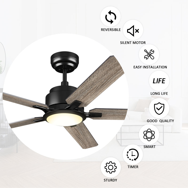 52'' Ceiling Fan with LED Lights