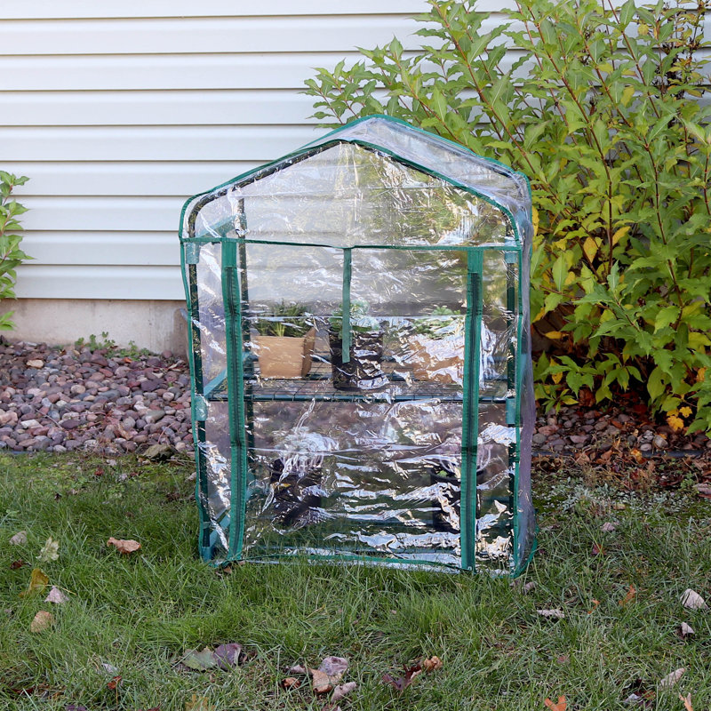 Alyk 26.5" W x 19" D  Outdoor Portable 2-Tier Mini Greenhouse with Clear Cover