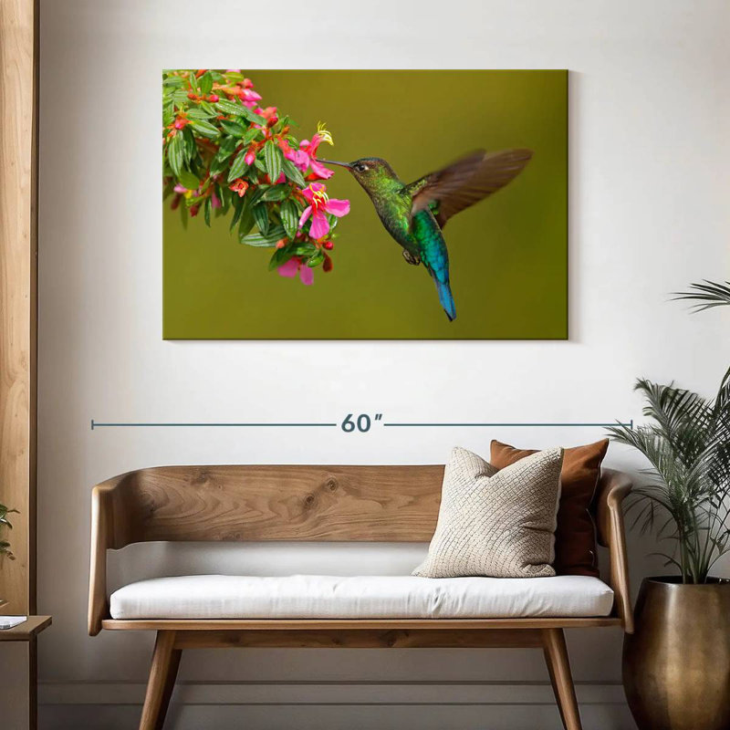 Colibri qui mange