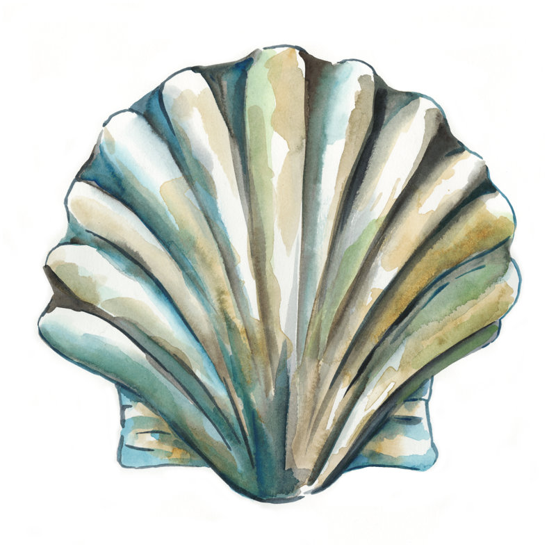 Aquarelle Shells VI by Chariklia Zarris - Wrapped Canvas Painting, 30cm H x 30cm W